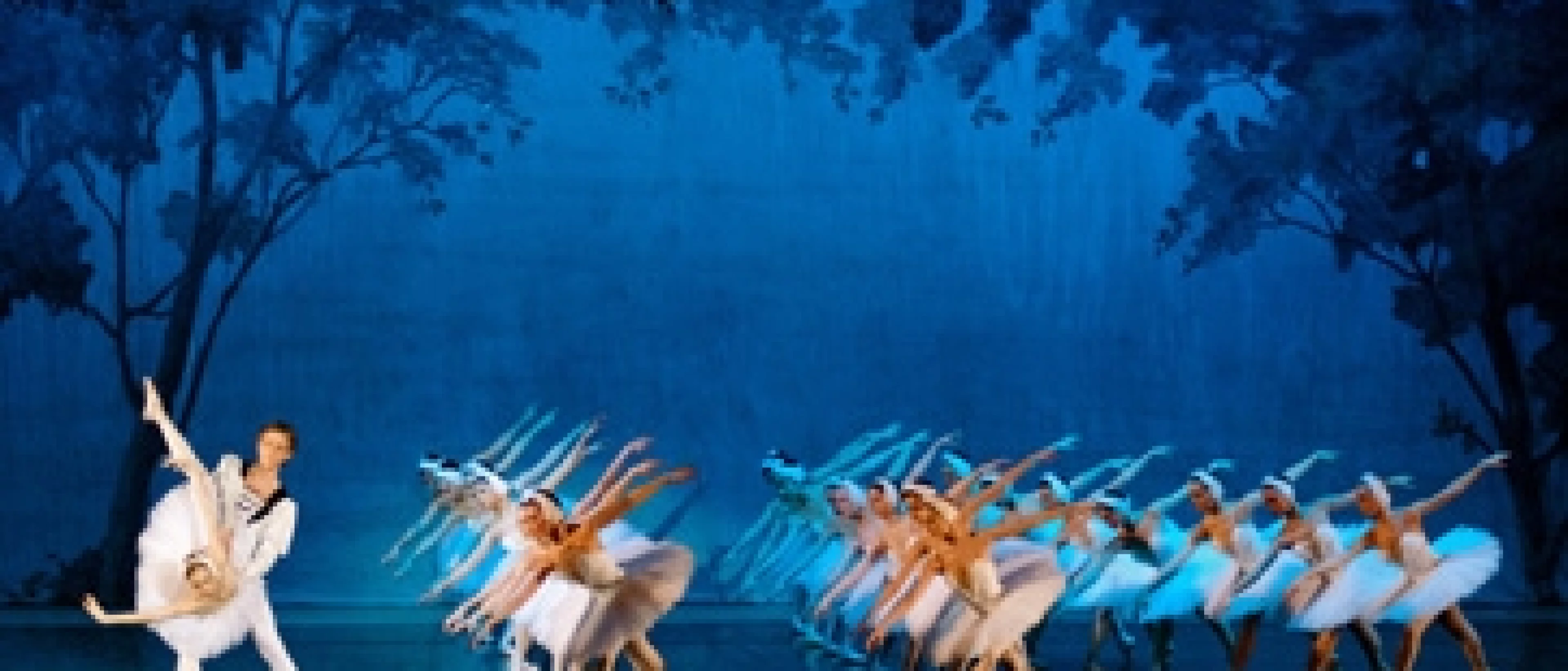 Le Lac des Cygnes